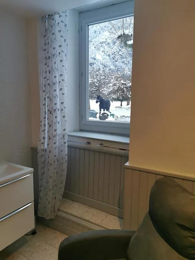 Gite Histoire D'En Vie Ornolac-Ussat-les-Bains